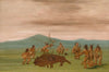 Medicine Buffalo of The Sioux (1837-1839)