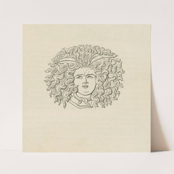 Medusa (1880 - 1881)