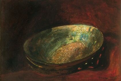 Meeresschnecke (Abalone, Seeopal)