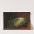 Meeresschnecke (Abalone, Seeopal) (ca 1892) by Franz von Stuck