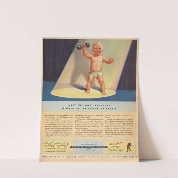 Meet the Most Versatile Member of the Cellulose Family by Hercules Incorporated