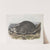 Meles Labradoria, American Badger. Natural size. (1845-1848) by John Woodhouse Audubon