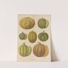 Melons (1876-1886) by Ernst Benary