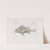 Memoirs of the Museum of Comparative Zoology at Harvard College Pl.07 by Harvard University. Museum of Comparative Zoology