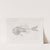 Memoirs of the Museum of Comparative Zoology at Harvard College Pl.10 by Harvard University. Museum of Comparative Zoology