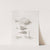 Memoirs of the Museum of Comparative Zoology at Harvard College Pl.12 by Harvard University. Museum of Comparative Zoology