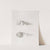 Memoirs of the Museum of Comparative Zoology at Harvard College Pl.14 by Harvard University. Museum of Comparative Zoology