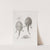 Memoirs of the Museum of Comparative Zoology at Harvard College Pl.22 by Harvard University. Museum of Comparative Zoology