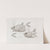 Memoirs of the Museum of Comparative Zoology at Harvard College Pl.45 by Harvard University. Museum of Comparative Zoology