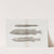 Memoirs of the Museum of Comparative Zoology at Harvard College Pl.57 by Harvard University. Museum of Comparative Zoology