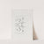 Memoirs of the Museum of Comparative Zoology at Harvard College Pl.77 by Harvard University. Museum of Comparative Zoology