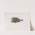 Memoirs of the Museum of Comparative Zoology at Harvard College Pl.86 by Harvard University. Museum of Comparative Zoology