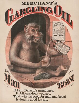 Merchant’s gargling oil for man and beast (1873) — size preview