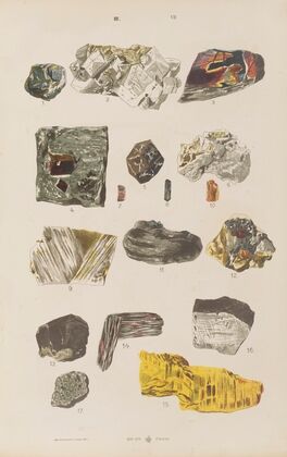Wielki atlas do zoologii, botaniki i mineralogii Pl.119 (1887)