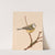 Mésange Bleue by Léo-Paul Robert