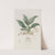 Messrs. Rollisson&#039;s Maxillaria by Sydenham Edwards