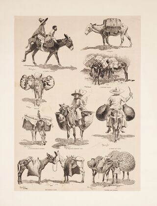Mexican burros (1889)