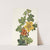 Mexican Fremontia. Fremontodendron mexicanum (1925) by Mary Vaux Walcott