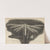 Microscopic view of a white featherwing&#039;d [feather-winged] moth by Robert Hooke