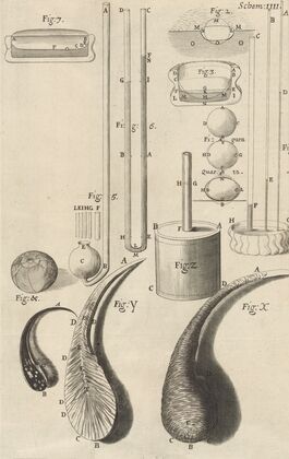 Microscopic view of assorted glass canes and drops