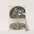Microscopic view of leaves and molds by Robert Hooke