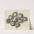 Microscopic view of seeds of thyme (1665) by Robert Hooke