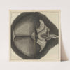 Microscopic view of the eyes and head of a drone-fly (1665) by Robert Hooke