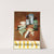 Midy (1910-1950) by Laboratoires Midy