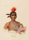 Moa-Na-Hon-Ga. Great Walker. An Ioway Chief
