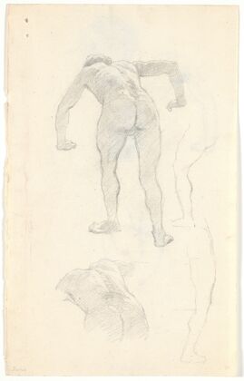 Modelstudie
