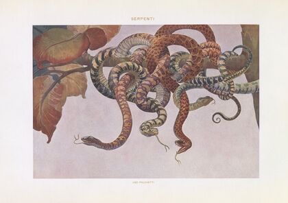 Modern decorative art Vol. I Pl.05