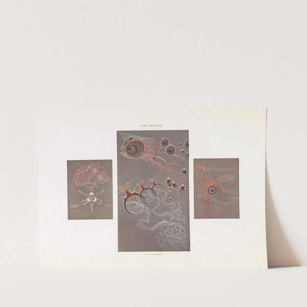 Modern decorative art Vol. II Pl.58 by Paul Wenzel (Publisher)