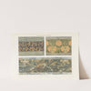 Modern decorative art Vol. III Pl.17 by Paul Wenzel (Publisher)