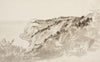Møens Klint