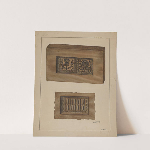 Mold by John Wilkes