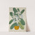 Mon Jardin a Ceylan Pl.006 (1896) by George De Alwis