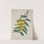 Mon Jardin a Ceylan Pl.030 (1896) by George De Alwis