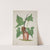 Mon Jardin a Ceylan Pl.033 (1896) by George De Alwis