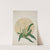 Mon Jardin a Ceylan Pl.062 (1896) by George De Alwis