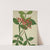 Mon Jardin a Ceylan Pl.076 (1896) by George De Alwis