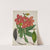 Mon Jardin a Ceylan Pl.113 (1896) by George De Alwis