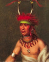 Monchousia (White Plume), Kansa