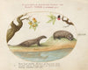 Mongoose and Badger with Fruit Trees (1575-1590)