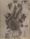 Monkey Hanging from Grapevines (ca. 1887)