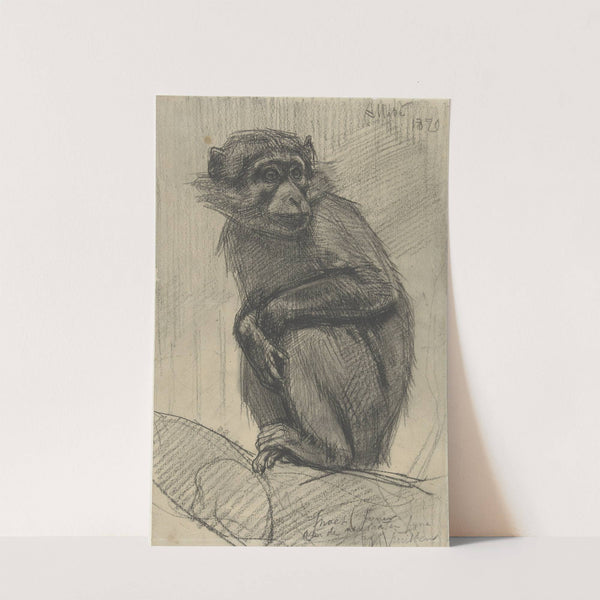Monkey on a Branch by August Allebé