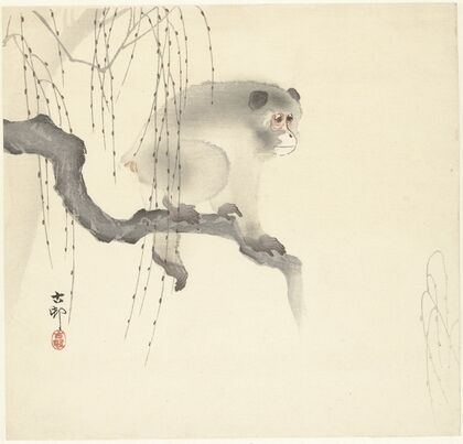 Monkey on tree branch — size preview