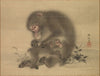 Monkeys