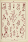Monogrammy Pl.14