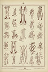 Monogrammy Pl.16