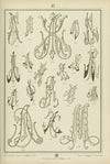 Monogrammy Pl.17